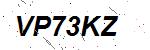 CAPTCHA verification image containing distorted text characters
