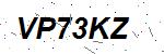 CAPTCHA verification image containing distorted text characters
