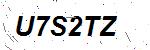 CAPTCHA verification image containing distorted text characters