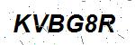 CAPTCHA verification image containing distorted text characters