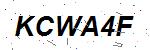 CAPTCHA verification image containing distorted text characters