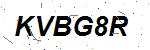 CAPTCHA verification image containing distorted text characters