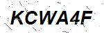 CAPTCHA verification image containing distorted text characters