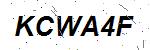 CAPTCHA verification image containing distorted text characters
