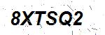 CAPTCHA verification image containing distorted text characters