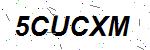 CAPTCHA verification image containing distorted text characters