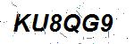 CAPTCHA verification image containing distorted text characters