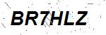 CAPTCHA verification image containing distorted text characters