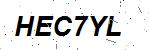CAPTCHA verification image containing distorted text characters