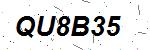 CAPTCHA verification image containing distorted text characters