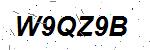 CAPTCHA verification image containing distorted text characters