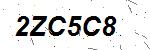 CAPTCHA verification image containing distorted text characters