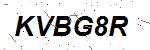 CAPTCHA verification image containing distorted text characters