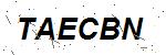 CAPTCHA verification image containing distorted text characters