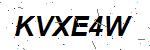 CAPTCHA verification image containing distorted text characters