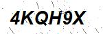 CAPTCHA verification image containing distorted text characters
