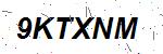 CAPTCHA verification image containing distorted text characters