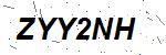 CAPTCHA verification image containing distorted text characters