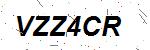 CAPTCHA verification image containing distorted text characters
