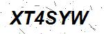 CAPTCHA verification image containing distorted text characters