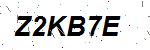 CAPTCHA verification image containing distorted text characters