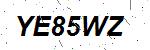 CAPTCHA verification image containing distorted text characters