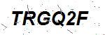 CAPTCHA verification image containing distorted text characters