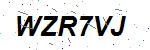 CAPTCHA verification image containing distorted text characters