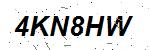 CAPTCHA verification image containing distorted text characters