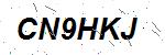 CAPTCHA verification image containing distorted text characters