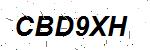 CAPTCHA verification image containing distorted text characters