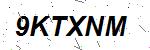 CAPTCHA verification image containing distorted text characters