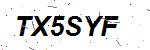 CAPTCHA verification image containing distorted text characters