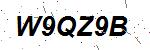 CAPTCHA verification image containing distorted text characters
