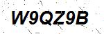 CAPTCHA verification image containing distorted text characters