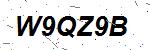 CAPTCHA verification image containing distorted text characters