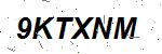 CAPTCHA verification image containing distorted text characters