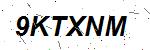 CAPTCHA verification image containing distorted text characters