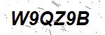 CAPTCHA verification image containing distorted text characters