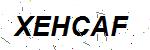 CAPTCHA verification image containing distorted text characters