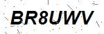 CAPTCHA verification image containing distorted text characters