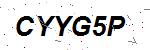 CAPTCHA verification image containing distorted text characters
