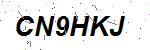 CAPTCHA verification image containing distorted text characters