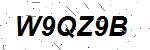 CAPTCHA verification image containing distorted text characters