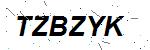 CAPTCHA verification image containing distorted text characters