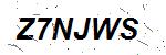 CAPTCHA verification image containing distorted text characters