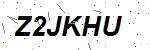 CAPTCHA verification image containing distorted text characters