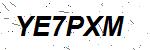 CAPTCHA verification image containing distorted text characters