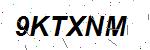 CAPTCHA verification image containing distorted text characters
