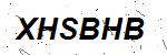 CAPTCHA verification image containing distorted text characters